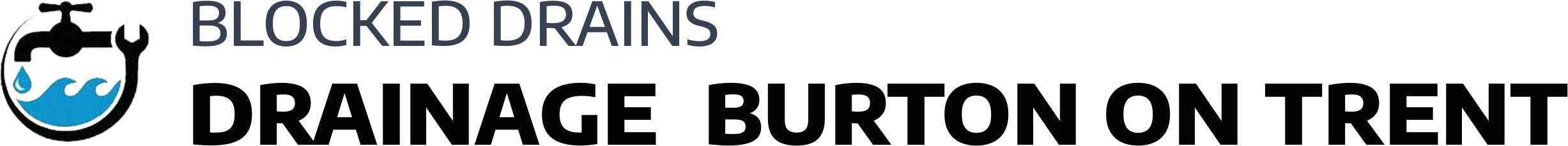 website logo